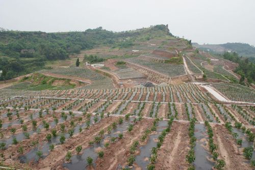 山东土地面积和人口_圣斯克家具安徽人(2)