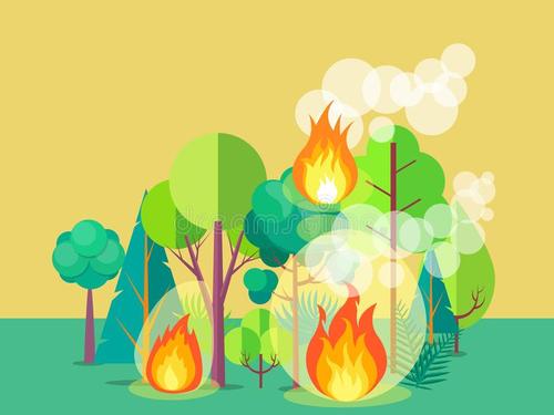 权威分析 | 木里森林火灾火场为何会复燃?
