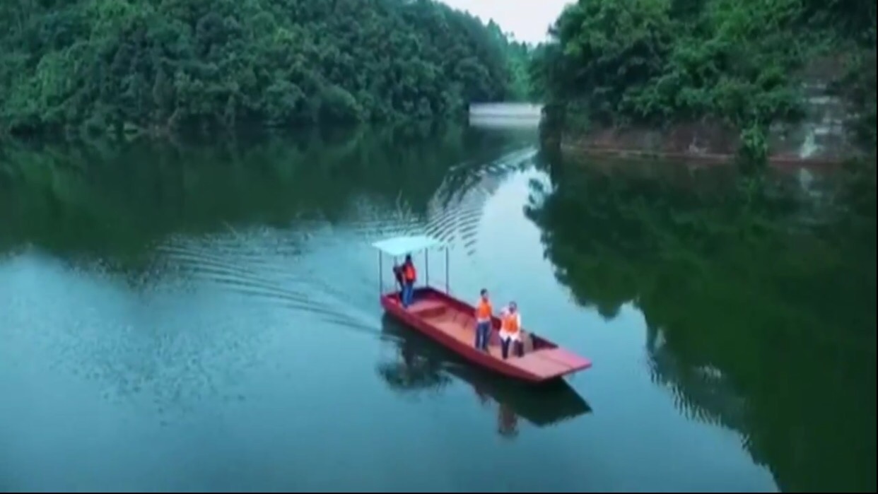 陈琰艳《大美中华 竹韵气节》