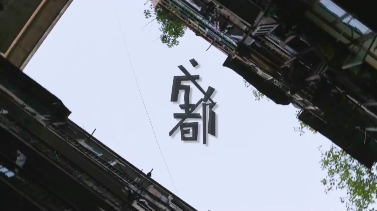 罗清心、刘泽林、钟睿杰、汪凉均《成都，不止于此》