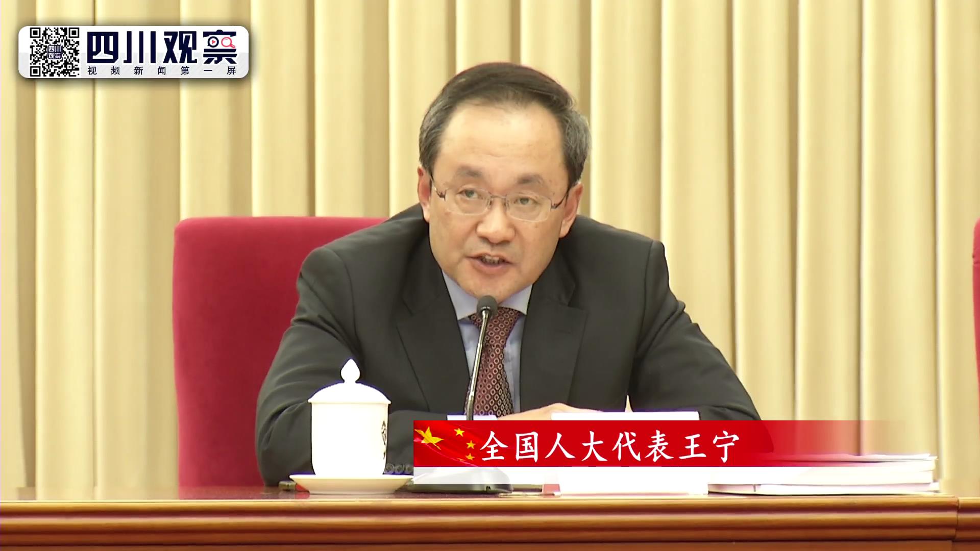 3月8日上午,王宁代表回答记者提问