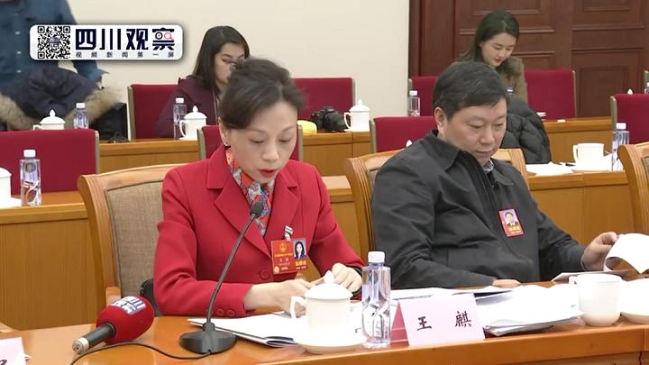3月8日下午王麒在四川代表团小组会议上发言 3月8日下午王麒在四川代表团小组会议上发言