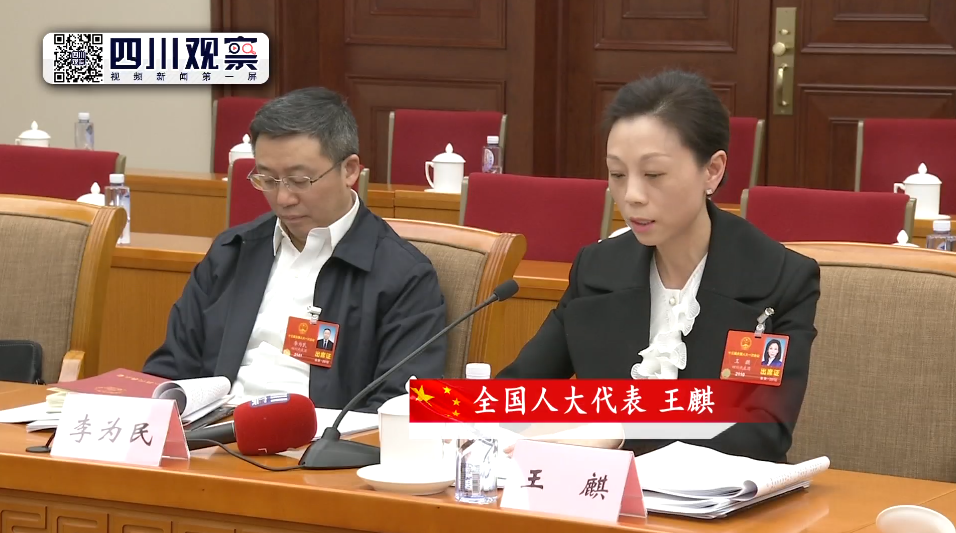 3月10日下午 王麒在四川代表团代表小组会议上发言 3月10日下午 王麒在四川代表团代表小组会议上发言