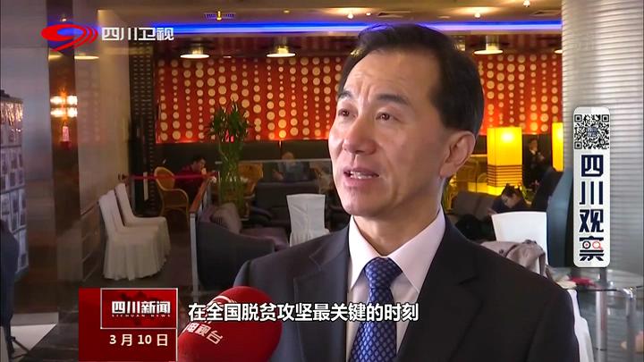 陈放热议如何确保脱贫不返贫