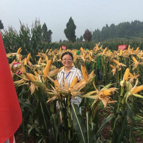 新闻封面图